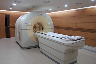 PET CT 사진