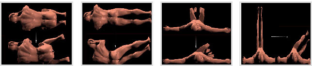 복부운동(복사근) 운동방법